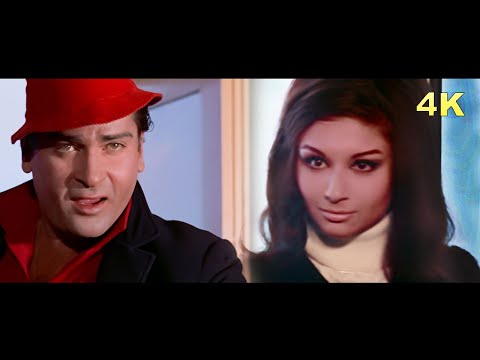 Akele Akele Kahan Ja Rahe Ho - Bollywood Classic Song in 4K | Shammi Kapoor | Mohammed Rafi Songs