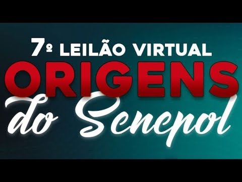 Lote 63   Jura da 3G   GGG 2226