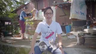 Pantai Kucing猫沙滩Cat Beach Lets Help These Cats