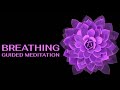 Breathing Meditation • guided breathing meditation • deep breathing meditation for beginners