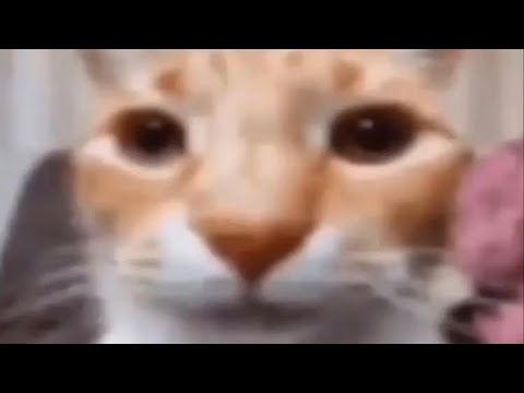 Nyxelis - Clovis Reyes [sped up/reverb]