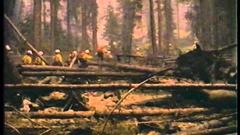 Fire Warriors. Chief Mountain Hot Shots. Directed ...