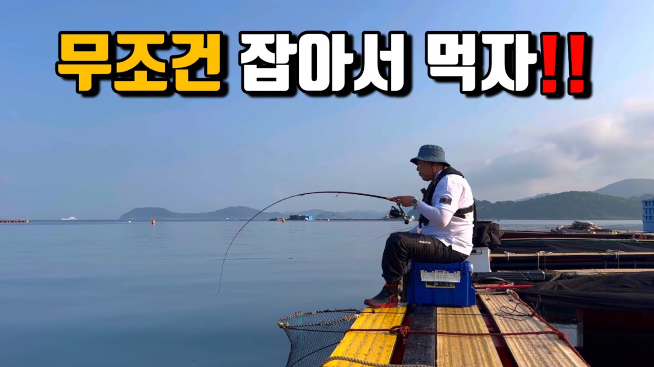 통영 좌대 전갱이 낚시!! 오늘은 무조건 잡아서 먹어보겠습니다!!