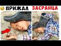 Лютые приколы . ЗОМБОЯЩИК. Угарные мемы