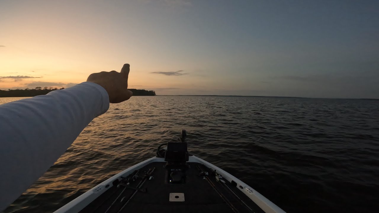 Big bass splash at Sam Rayburn 2025