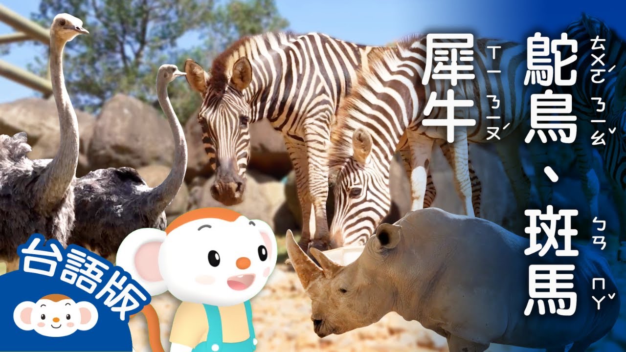 【看樂樂TV學臺語】非洲動物:犀牛、花條馬、鴕鳥｜小行星樂樂TV
