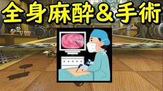 【レート2000から10000を目指すマリカ】全身麻酔＆手術のお話＃30【マリオカート８デラックス】