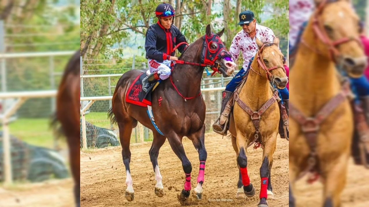 El Playboy Vs El Chango Malo