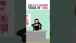 Our Brain Can Keep Track Of Time.