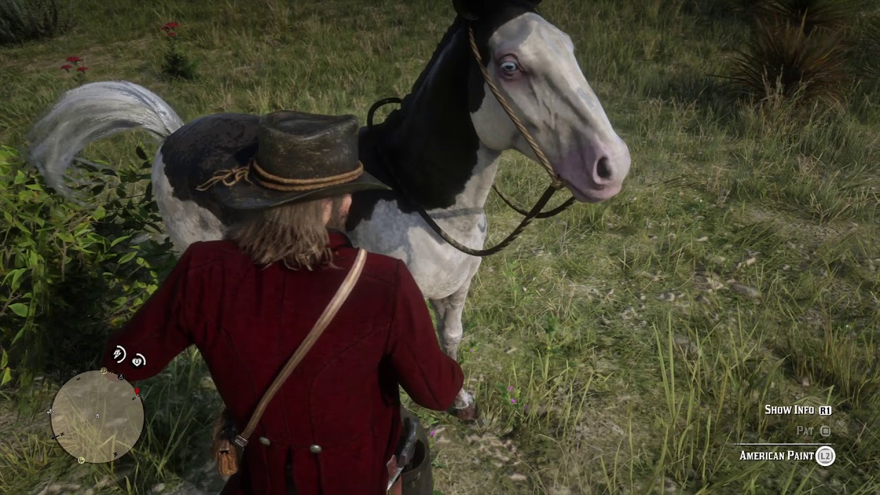 Where To Find The Splashed White American Paint (The Rarest Horse) Red Dead Redemption 2