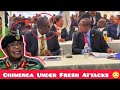 Protest : Intelligence Operation To Counter Chiwenga 😳