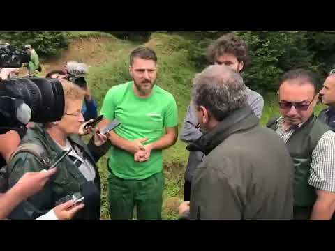 Greenpeace vs.Romsilva -  confruntare în pădure, la Vama/ Suceava! Tiberiu Boșutar intră în acțiune