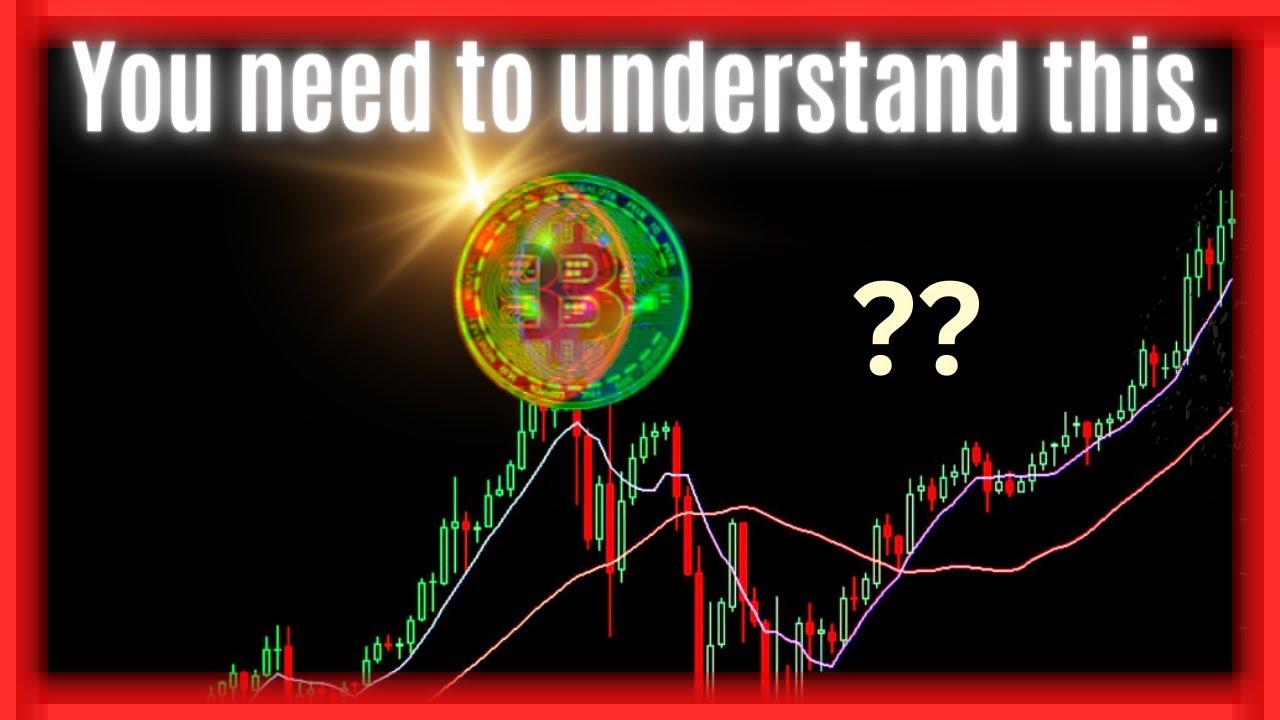 Bitcoin is Going To Take Over the World: How to Prepare Yourself