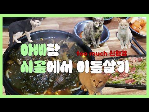아빠랑 시골에서 이틀살기 | 선지국밥을 먹으러 갔을 뿐인데 | 고양이와 곤충이 함께하는 시골살이