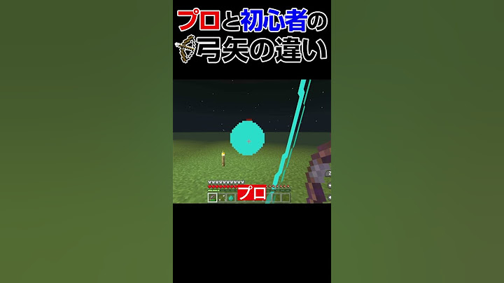 【マイクラ】プロと初心者の弓矢の違い！ #Shorts