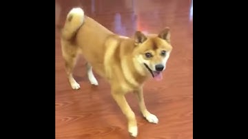 Test Upload via Java on Thu Jan 12 10:31:21 CST 2017