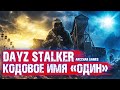 DAYZ STALKER RP ПРОЭКТ &quot;ОДИН&quot;