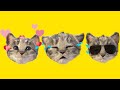 My Favorite Cat Little Kitten Preschool -  Play Fun Cute Kitten Care Games For Kids Children #156