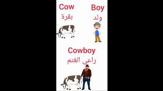 كلمات باللغة الانجليزية سهلة جدااا في الحفظ الجزء 2.