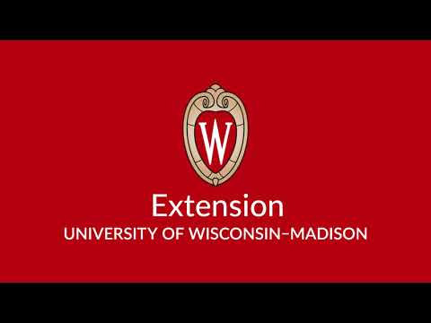 UW Extension Stocker Cattle Closeout Spreadsheet Explained