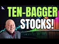 Finding tenbagger stocks the vectorvest investors guide  vectorvest