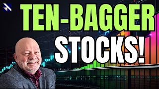 Finding Ten-Bagger Stocks: The VectorVest Investor's Guide | VectorVest