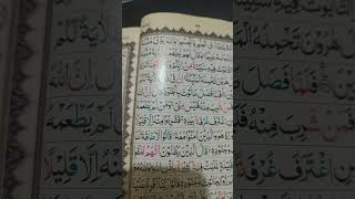 Daily Quran Recitation Part 239 #dailyquran #peaceofthesoulhmu #quran #muhammadusman #recitation