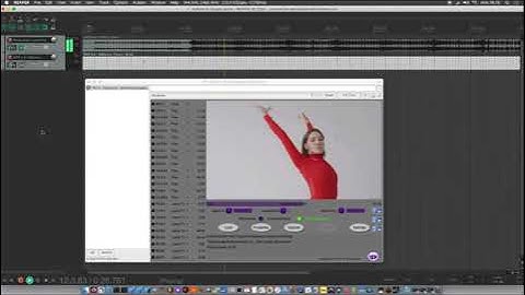VidDancer VST demo Reaper DAW: make 1.5 minute video from 10 second movie clip
