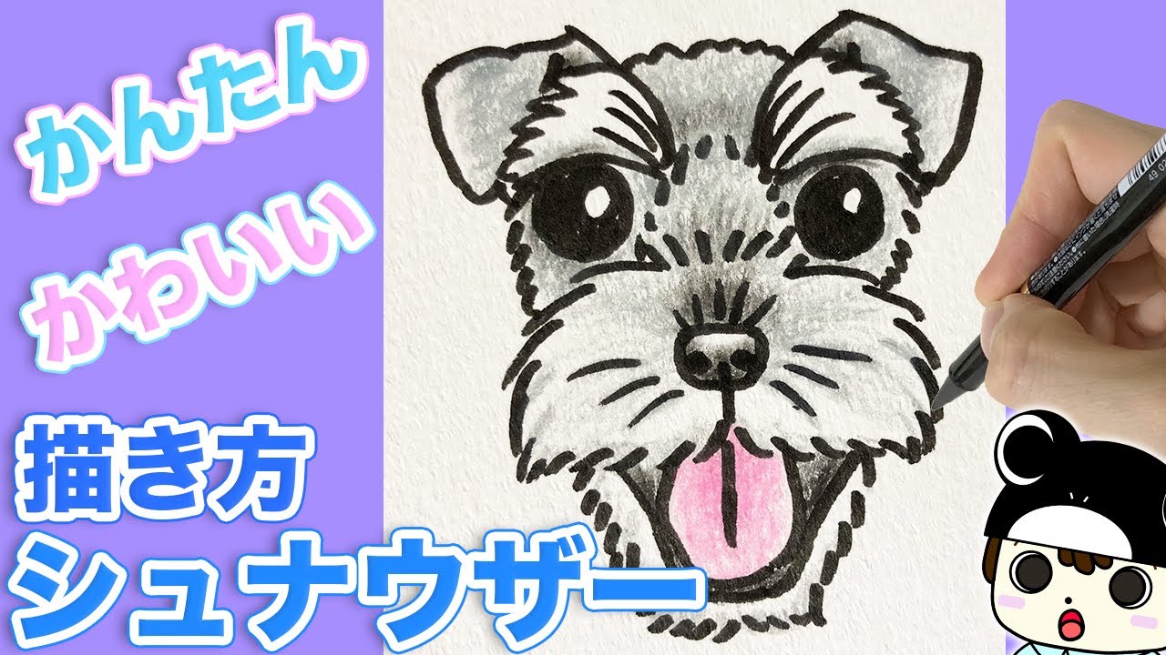 犬のイラスト 可愛いシュナウザーの描き方 Youtube