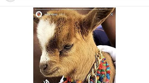 Wizkid Soco Music Video Shoot As Davido Make Fun of Wizkid for Buying A PET Goat for Soco video