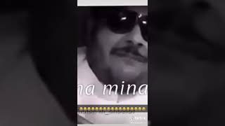 سامينا مينا اي اي