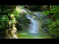 Calming forest waterfall sounds. Nature sounds for sleep, White noise for relax. (10 hours)