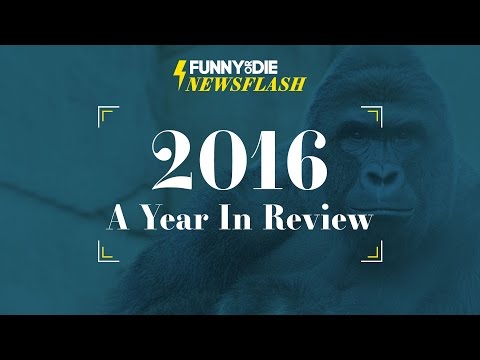 2016:-a-year-in-review