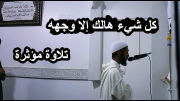 كل شيء هالك إلا وجهه ،، تلاوة مؤثرة من سورة القصص عزيز  #أهرض_رمضان_1440 2019