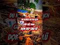 Du khách nước ngoài giúp Việt Nam dọn dẹp bão lũ#tintuc #bãolũ #mientrunglulut