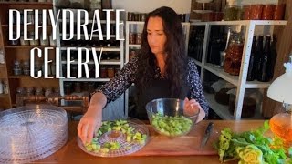 DEHYDRATE CELERY In  A Food Dehydrator / Dehydrating Celery