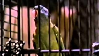 Nickelodeon Commercials 1998