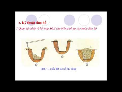 Video công nghệ 7 bài 26- tiết 29 : Trồng cây rừng - youtube