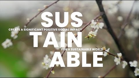 For a significant social impact: giving an impulse to our CSR actions
