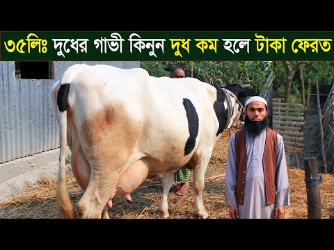 ভিডিও: পারমাণবিক বহুমুখী সাবমেরিন: পশ্চিমে একটি অসম প্রতিক্রিয়া