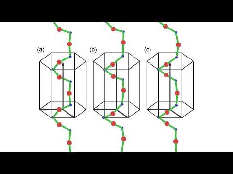 Truly chiral phonons