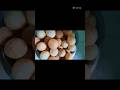 Street style golgappe||yummy Pani puri||#ytstudio#trending#foodie #shorts#viral#youtubeshorts