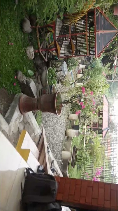 Taman depan rumah #shortvideos #shorts #taman
