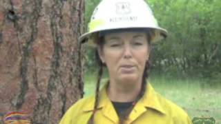 Fire Danger Rating System