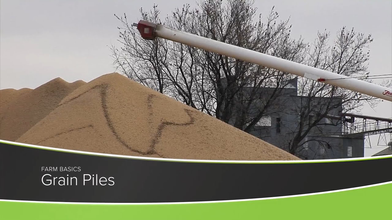 Grain Piles