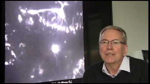 Brain Dysfunction Mechanism Decoded