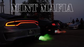 Mint Mafia Goes To Car Meet Crazy Rev Battles