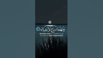 تلاوة مؤثرة رائعة جداً من سورة الرحمن😭 - القارئ عمر شميم - قرآن - Quran