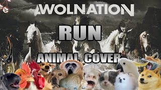 Awolnation - Run (Animal Cover)