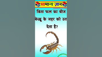 Top 50 ✍️ IAS Question🔥💯🥰 || GK Question and Answer|Part-1023| #facts #gkfacts #gkinhindi